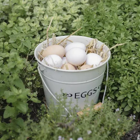 Pensionat Clonalis House - 3*