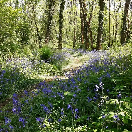 Clonalis House - Гостевой дом