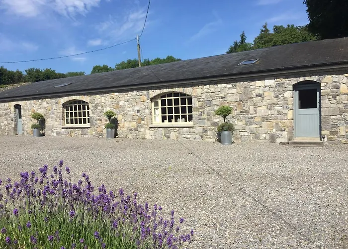 Clonalis House - Maison d'hôtes Castlerea