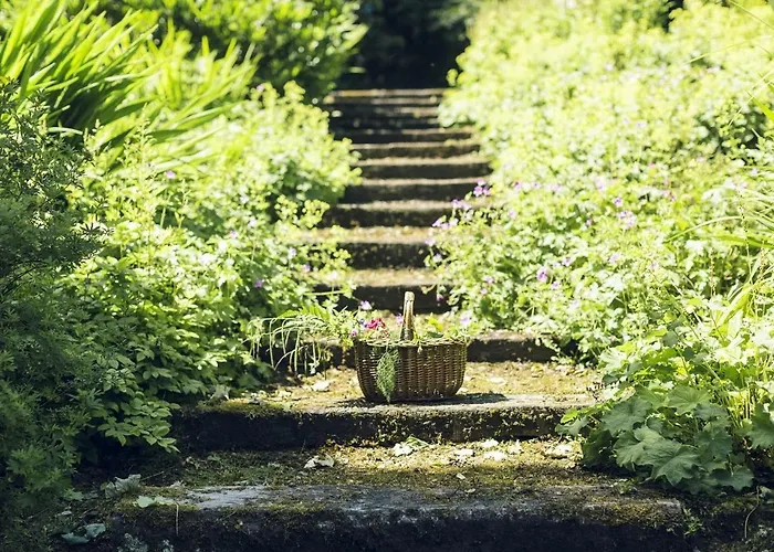 Clonalis House - 3* Castlerea